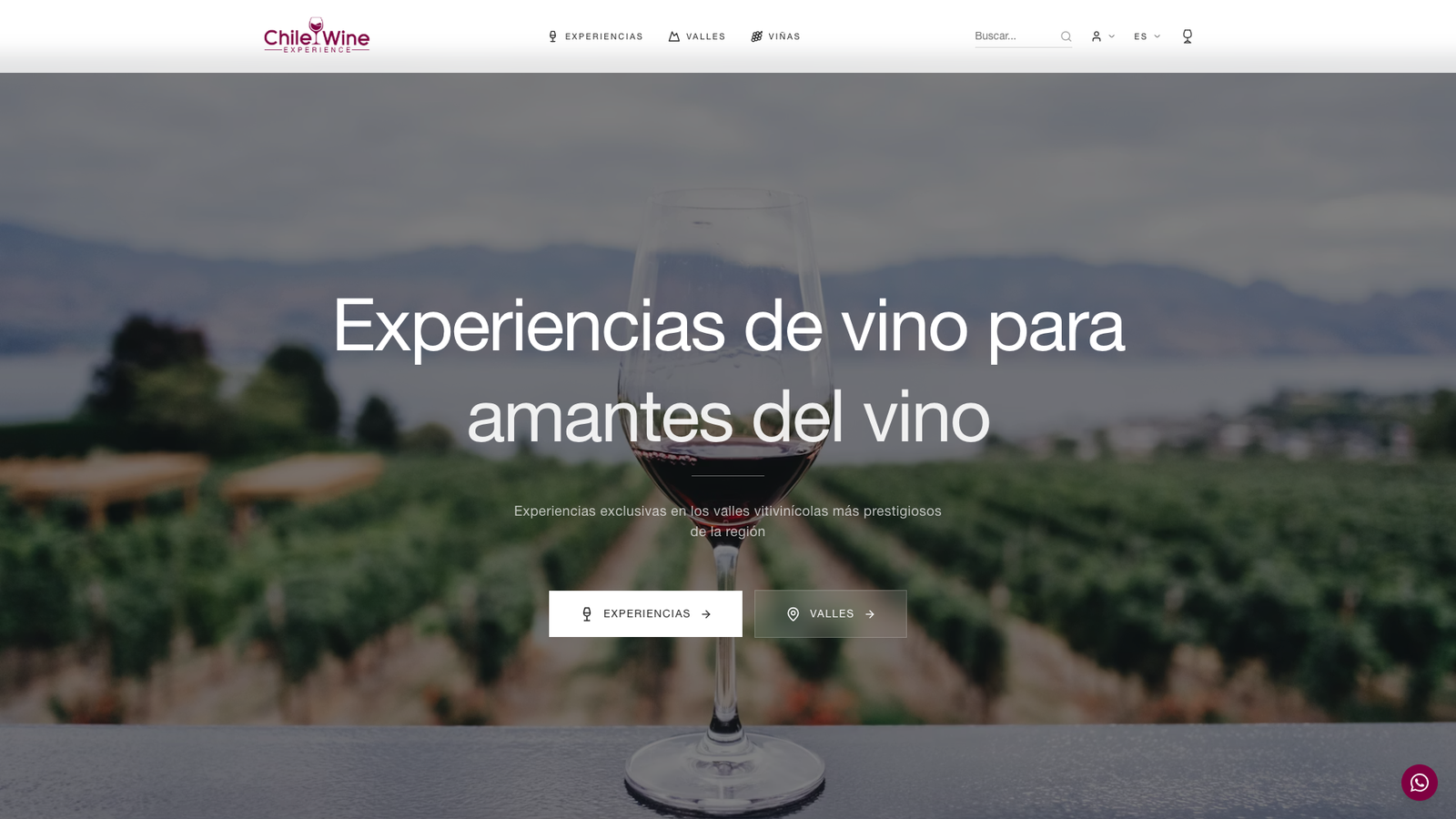 Chile Wine Experience